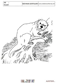 Su-Samuru boyama sayfaları